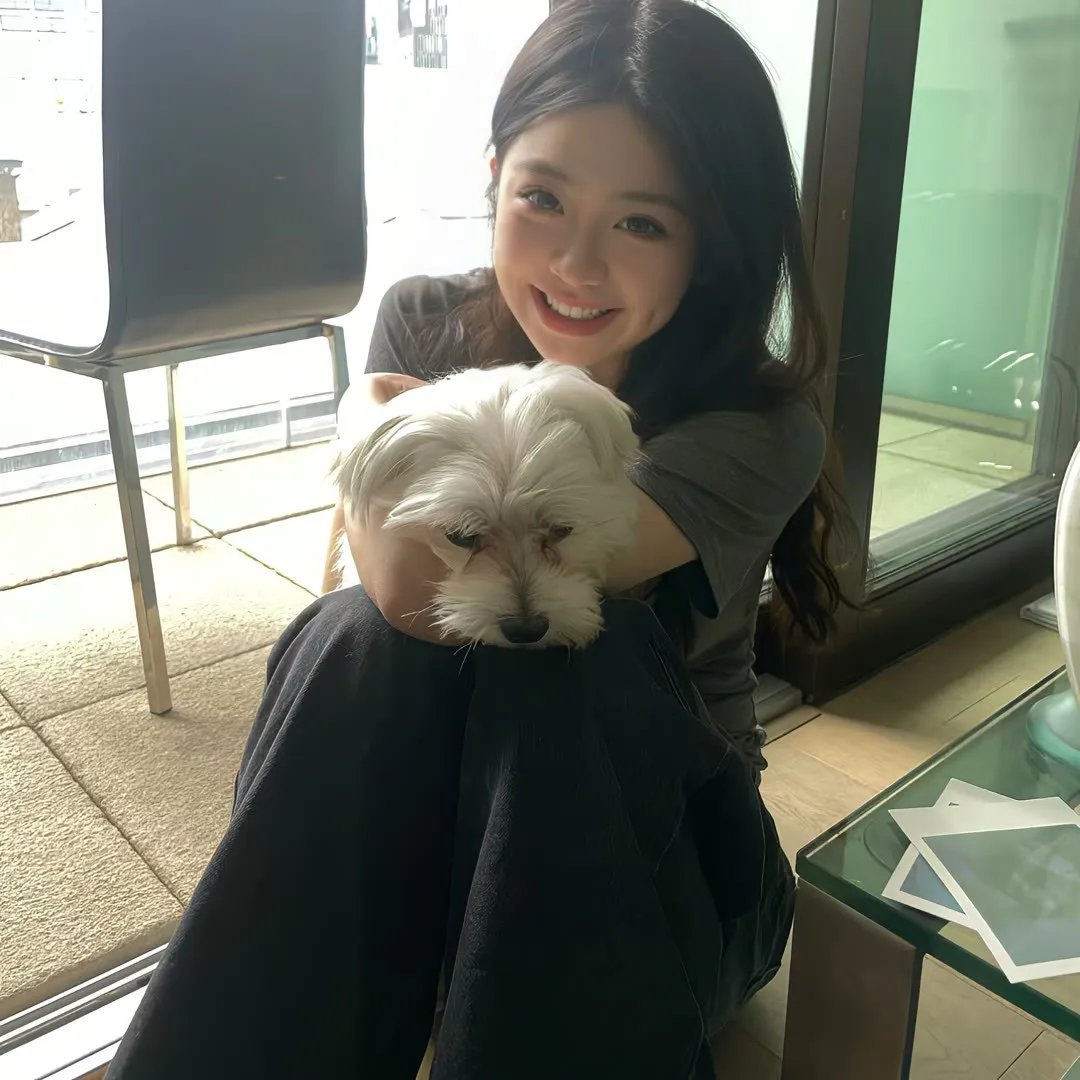 历险小恐龙8